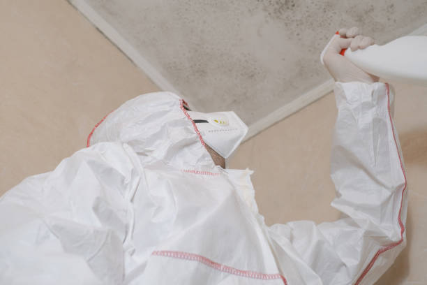 Best Industrial Mold Remediation in Loudonville, NY