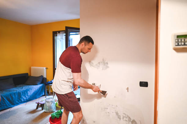 Best Commercial Mold Remediation in Loudonville, NY