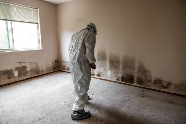 Loudonville, NY Mold Remediation Company